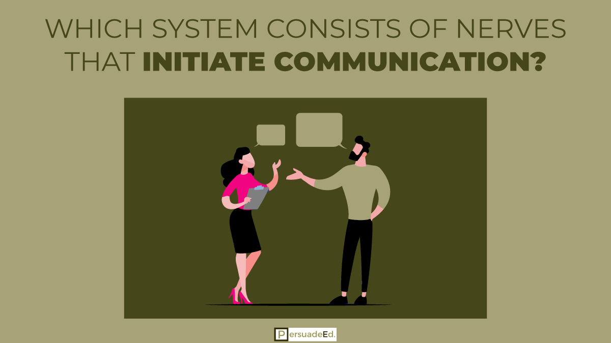 Which System Consists of Nerves That Initiate Communication