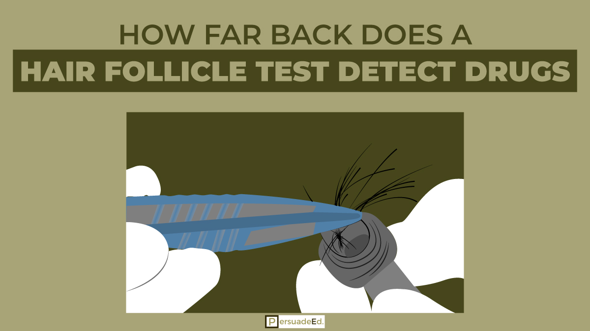 How Far Back Does a Hair Follicle Test Detect Drugs?